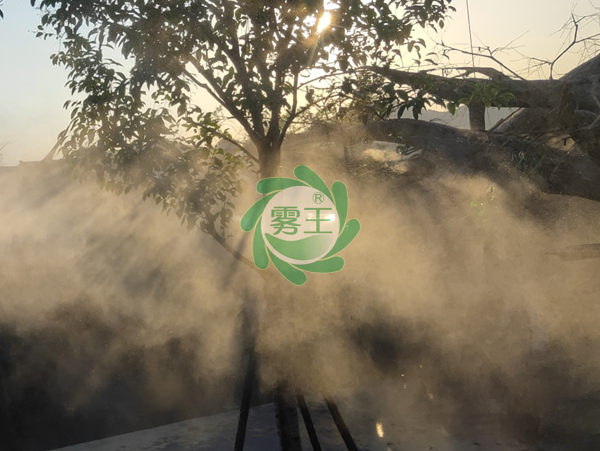 杭州辉达为长乔极地海洋公园安装园林人造雾系统案例