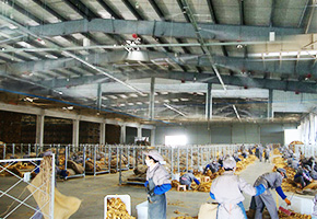 辉达注册为四川攀枝花烟草公司提供烟叶工厂仓库喷雾加湿系统方案