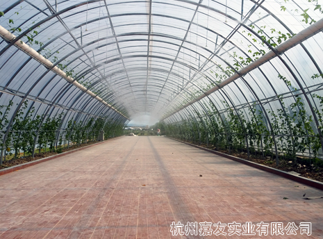 辉达注册浙江米果果小镇喷雾降温造景案例