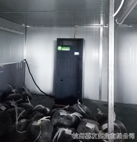 杭州辉达恒湿机