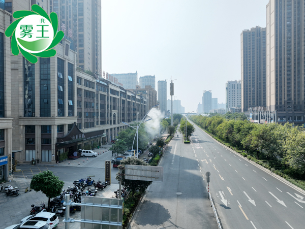 城市道路路灯杆喷雾降尘系统 (6)