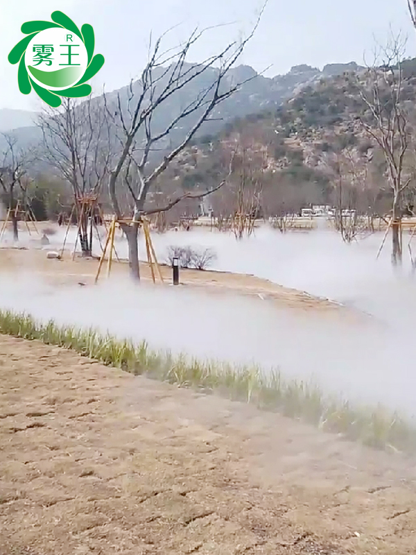 雾森系统的环境多功能改善利器助力温州一公园景观升华