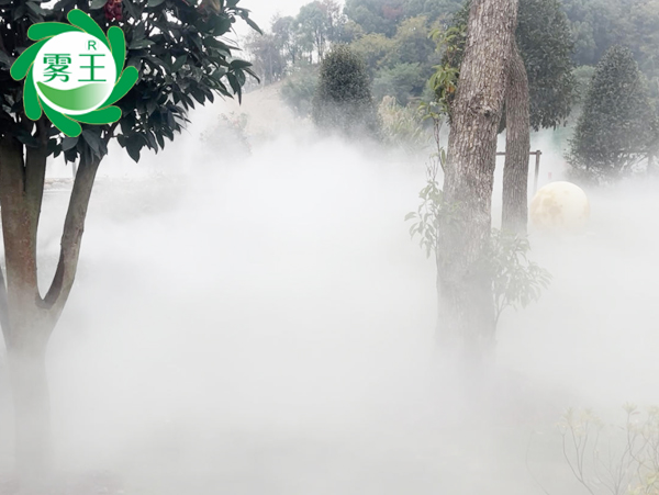 辉达注册雾森系统喷雾造景，点亮绍兴一咖啡馆湖畔朦胧诗意